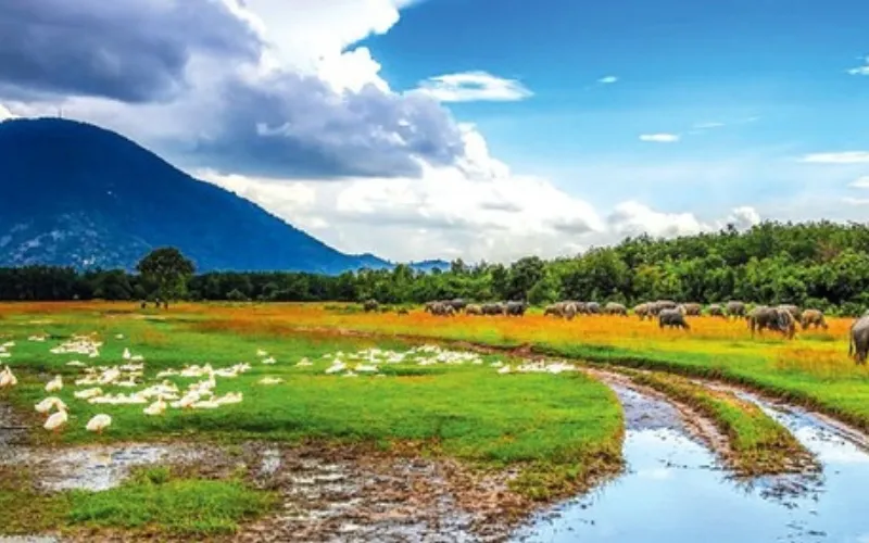 Thuê xe đi Đông Nam Bộ