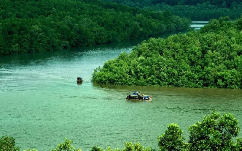 Cho thuê xe đi Cần Giờ