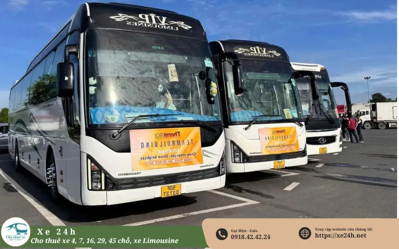 Cho thuê xe phục vụ tour TPHCM