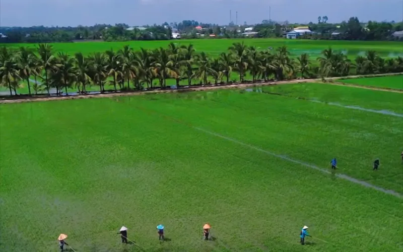 Thuê xe đi Đồng Tháp