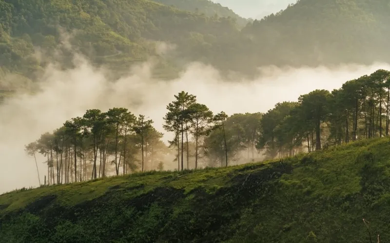 Cho thuê xe đi Bảo Lộc