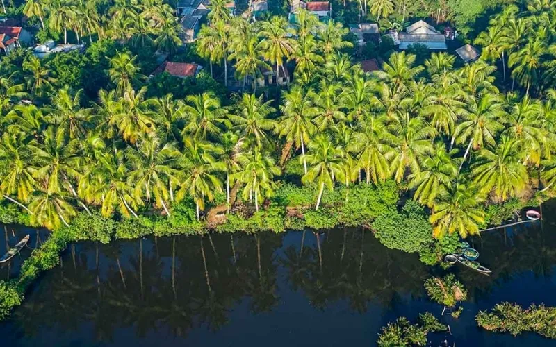 Thuê xe đi Bến Tre