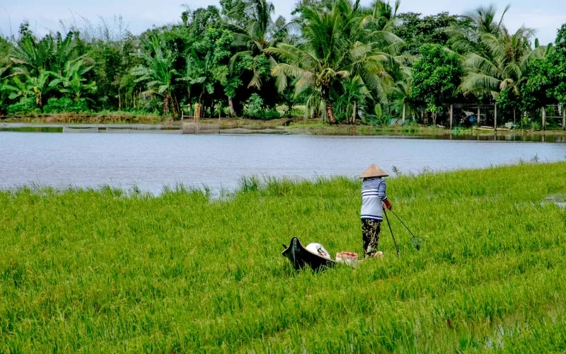 Thuê xe đi Hậu Giang