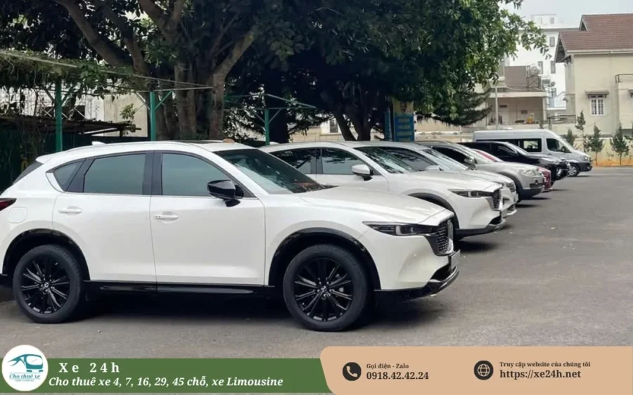 Thuê xe 7 chỗ