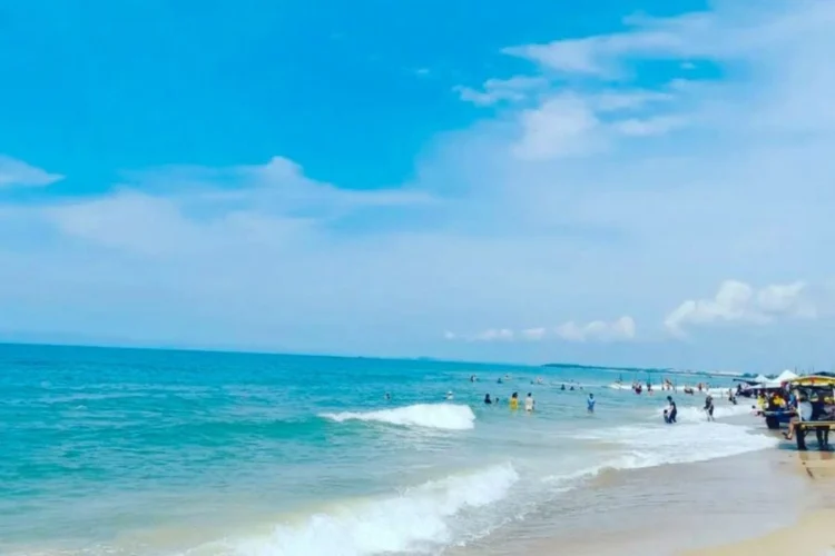 Thuê xe tại Xe24h